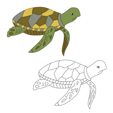 Deniz Kaplumbağası Clipart. Su altı Hayvanları Zirvesi Deniz Hayvanı, Deniz Yaşamı ve Deniz Yaşamı