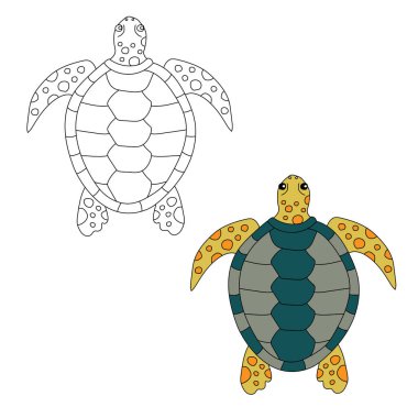 Deniz Kaplumbağası Clipart. Su altı Hayvanları Zirvesi Deniz Hayvanı, Deniz Yaşamı ve Deniz Yaşamı