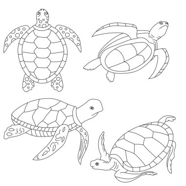 Deniz Kaplumbağası Clipart. Su altı Hayvanları Zirvesi Deniz Hayvanı, Deniz Yaşamı ve Deniz Yaşamı