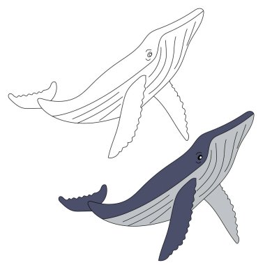 Balina Clipart seti. Sucul Hayvanlar Birliği. Deniz Hayvanı Su Altındaki Hayat 'tan Tırmanır. Okyanus Hayvanları Clipart Vektörü 