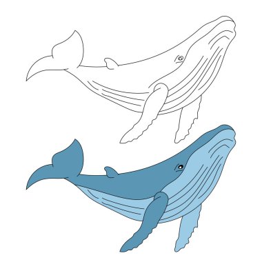 Balina Clipart seti. Sucul Hayvanlar Birliği. Deniz Hayvanı Su Altındaki Hayat 'tan Tırmanır. Okyanus Hayvanları Clipart Vektörü 