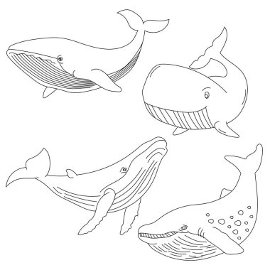 Balina Clipart seti. Sucul Hayvanlar Birliği. Deniz Hayvanı Su Altındaki Hayat 'tan Tırmanır. Okyanus Hayvanları Clipart Vektörü 