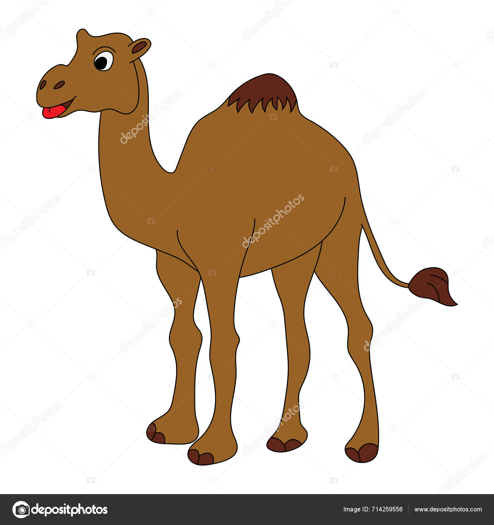 Camel Clipart Doodle Animals Clipart Cartoon Wild Animals Clipart