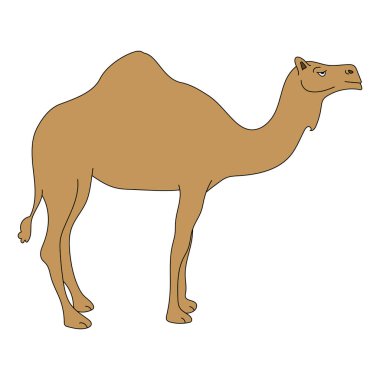 Deve Tırmanışı. Doodle Hayvanlar Tırmanışı. Vahşi Hayvanlar Çizgi Filmi Vahşi Yaşam Aşıkları İçin Tırmanma