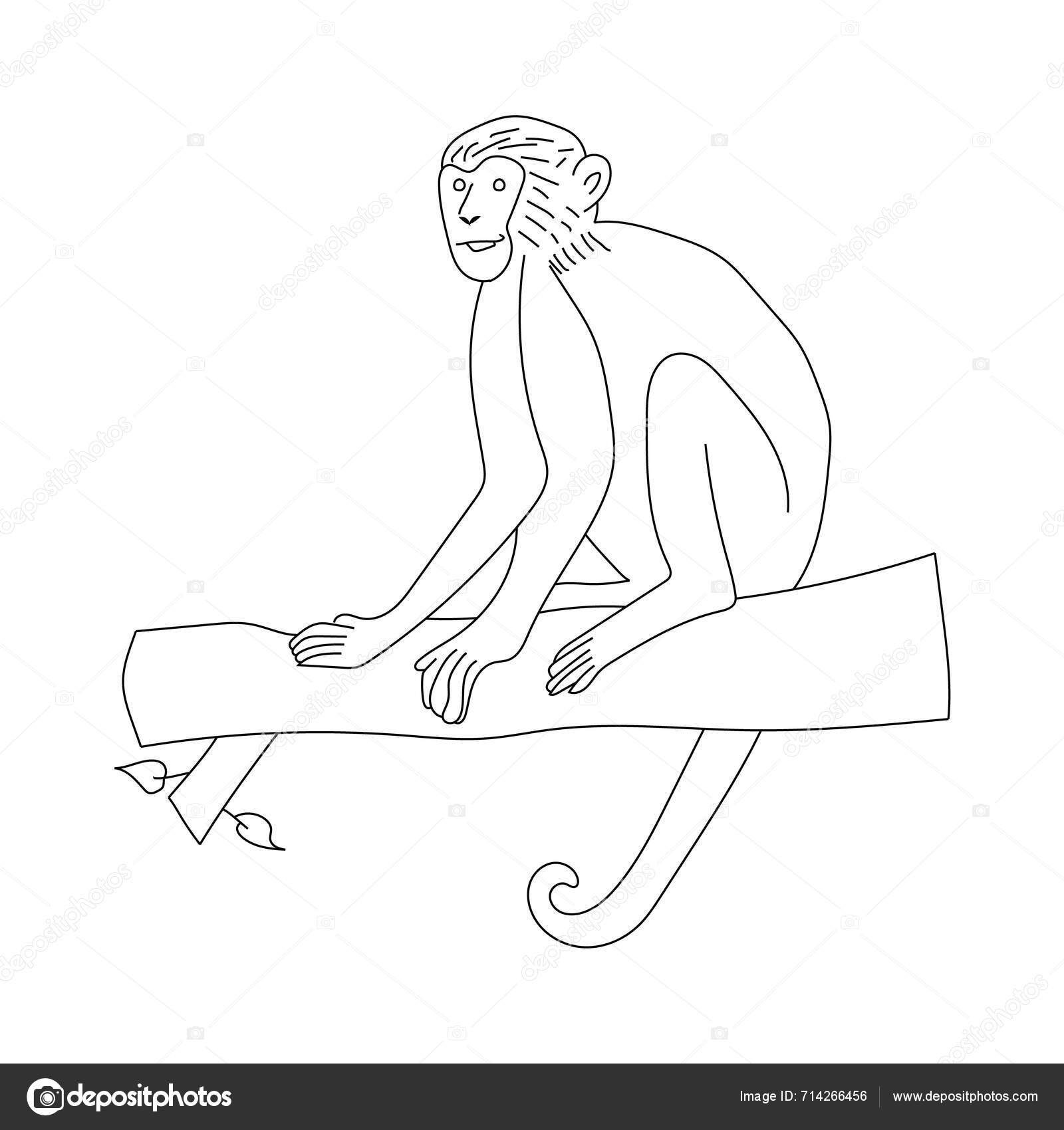 Monkey Clipart Doodle Animals Clipart Cartoon Wild Animals Clipart