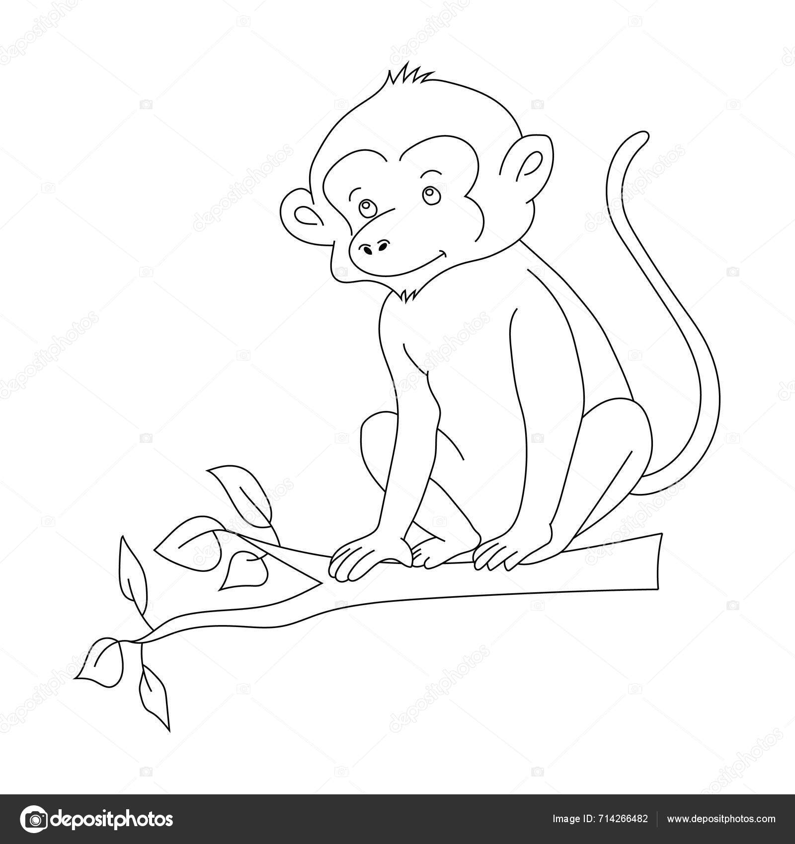 Monkey Clipart Doodle Animals Clipart Cartoon Wild Animals Clipart