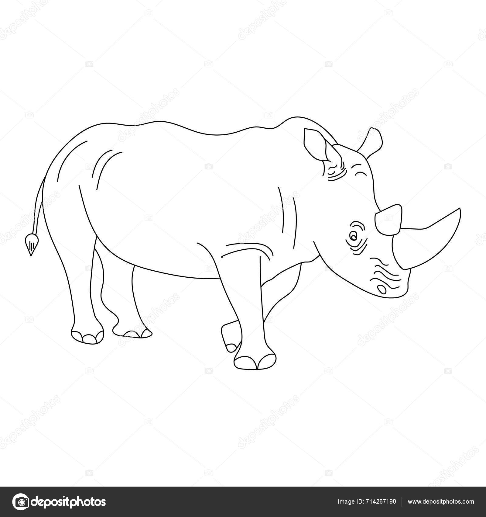 Rhino Clipart Doodle Animals Clipart Cartoon Wild Animals Clipart