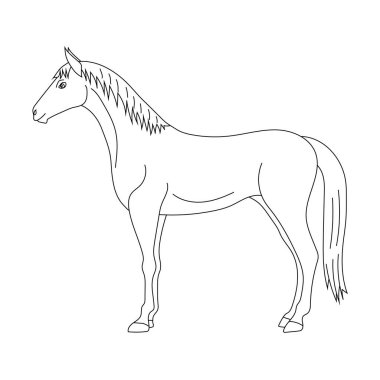 At Yarışı. Doodle Hayvanlar Tırmanışı. Vahşi Hayvanlar Çizgi Filmi Vahşi Yaşam Aşıkları İçin Tırmanma