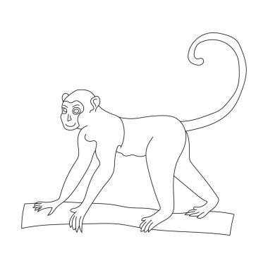 Maymun Clipart. Doodle Hayvanlar Tırmanışı. Vahşi Hayvanlar Çizgi Filmi Vahşi Yaşam Aşıkları İçin Tırmanma