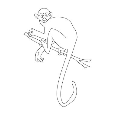 Maymun Clipart. Doodle Hayvanlar Tırmanışı. Vahşi Hayvanlar Çizgi Filmi Vahşi Yaşam Aşıkları İçin Tırmanma