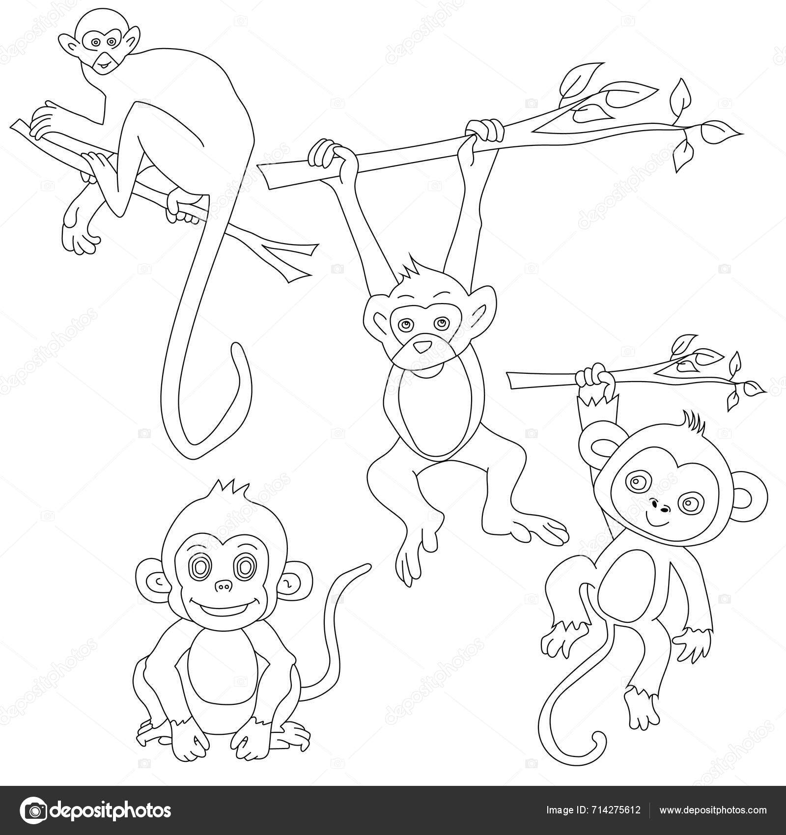 Monkey Clipart Doodle Animals Clipart Cartoon Wild Animals Clipart