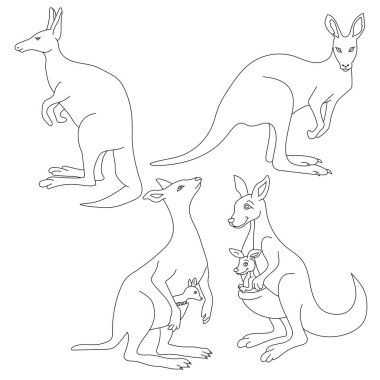 Kanguru Clipart. Doodle Hayvanlar Tırmanışı. Vahşi Hayvanlar Çizgi Filmi Vahşi Yaşam Aşıkları İçin Tırmanma