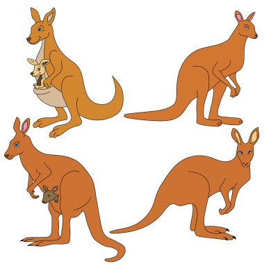 Kanguru Clipart. Doodle Hayvanlar Tırmanışı. Vahşi Hayvanlar Çizgi Filmi Vahşi Yaşam Aşıkları İçin Tırmanma