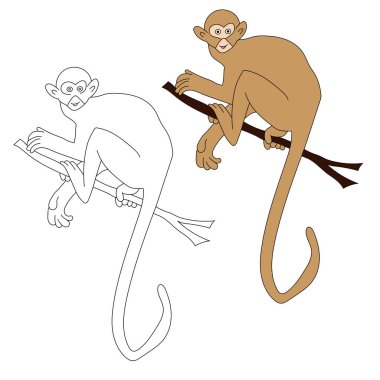 Maymun Clipart. Doodle Hayvanlar Tırmanışı. Vahşi Hayvanlar Çizgi Filmi Vahşi Yaşam Aşıkları İçin Tırmanma