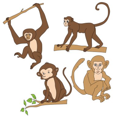 Maymun Clipart. Doodle Hayvanlar Tırmanışı. Vahşi Hayvanlar Çizgi Filmi Vahşi Yaşam Aşıkları İçin Tırmanma