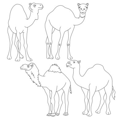 Deve Tırmanışı. Doodle Hayvanlar Tırmanışı. Vahşi Hayvanlar Çizgi Filmi Vahşi Yaşam Aşıkları İçin Tırmanma