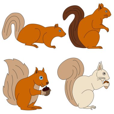 Sincap Tırmanışı. Doodle Hayvanlar Tırmanışı. Vahşi Hayvanlar Çizgi Filmi Vahşi Yaşam Aşıkları İçin Tırmanma