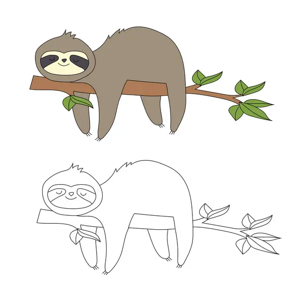 Panda Clipart Doodle Animals Clipart Cartoon Wild Animals Clipart ...