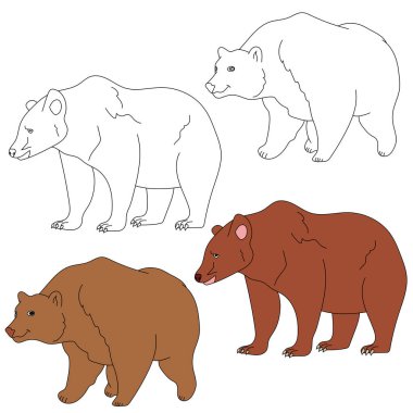 Bear Clipart. Vahşi Hayvanlar orman ve vahşi yaşam aşıkları için koleksiyon topluyor. Bu set safari ve hayvanat bahçesi temalı projelerinize mükemmel bir katkı olacak. Her biri için iki tasarımı olan iki hayvan içeriyor. renkli / siyah & beyaz.
