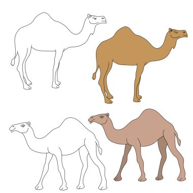 Deve Tırmanışı. Vahşi Hayvanlar orman ve vahşi yaşam aşıkları için koleksiyon topluyor. Bu set safari ve hayvanat bahçesi temalı projelerinize mükemmel bir katkı olacak. Her biri için iki tasarımı olan iki deve içeriyor. renkli / siyah & beyaz