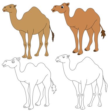 Deve Tırmanışı. Vahşi Hayvanlar orman ve vahşi yaşam aşıkları için koleksiyon topluyor. Bu set safari ve hayvanat bahçesi temalı projelerinize mükemmel bir katkı olacak. Her biri için iki tasarımı olan iki deve içeriyor. renkli / siyah & beyaz