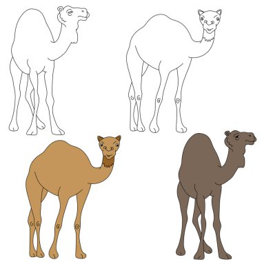 Deve Tırmanışı. Vahşi Hayvanlar orman ve vahşi yaşam aşıkları için koleksiyon topluyor. Bu set safari ve hayvanat bahçesi temalı projelerinize mükemmel bir katkı olacak. Her biri için iki tasarımı olan iki deve içeriyor. renkli / siyah & beyaz