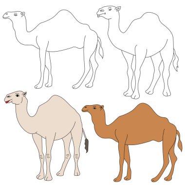 Deve Tırmanışı. Vahşi Hayvanlar orman ve vahşi yaşam aşıkları için koleksiyon topluyor. Bu set safari ve hayvanat bahçesi temalı projelerinize mükemmel bir katkı olacak. Her biri için iki tasarımı olan iki deve içeriyor. renkli / siyah & beyaz