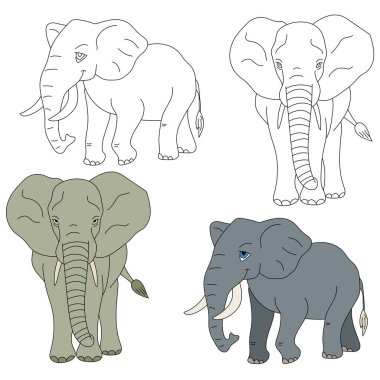 Fil Clipart. Vahşi Hayvanlar orman ve vahşi yaşam aşıkları için koleksiyon topluyor. Bu set safari ve hayvanat bahçesi temalı projelerinize mükemmel bir katkı olacak. Her biri için iki tasarımı olan iki fil içeriyor. renkli / siyah & beyaz