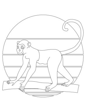 Maymun Boyama Sayfası. Vahşi hayvanları ve vahşi yaşamı seven çocuklar için vahşi hayvan boyama sayfası