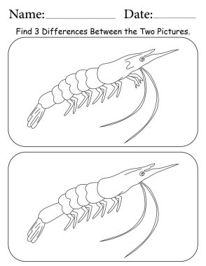 Karides Bulmacası. Çocuklar için Yazdırılabilir Faaliyet Çalışma Tablosu. Okul için Eğitim Kaynakları. Nesneler Arasında 3 Farklılık Bul