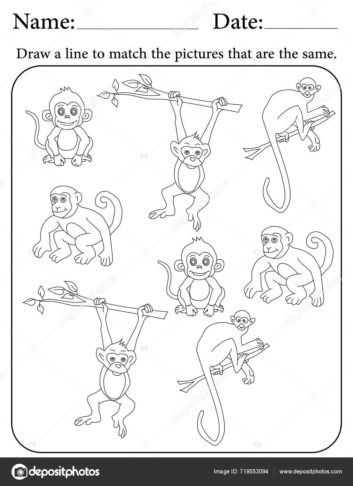 Monkey Puzzle Ficha Trabalho Atividade Impressão Para Crianças Recursos