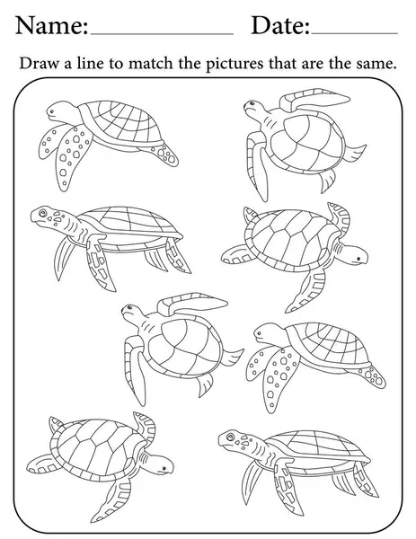 Deniz Kaplumbağası Bulmacası. Çocuklar için Yazdırılabilir Faaliyet Çalışma Tablosu. Okul için Eğitim Kaynakları. Benzer Nesneleri Eşleştir