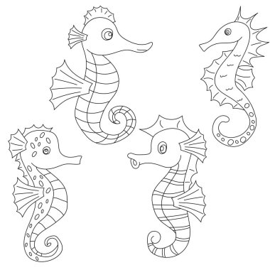 deniz hayvanı boyama kitabı sayfası