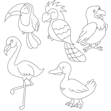 kuşların karikatür vektör çizimi