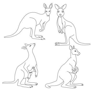 Elle çizilmiş Kanguru Clipart çizimleri
