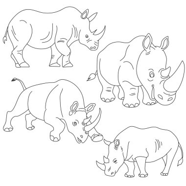 Gergedanın vektör kümesi