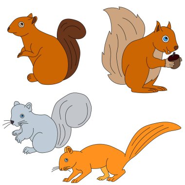 Çizgi film seti sincap, sincap ve fındık