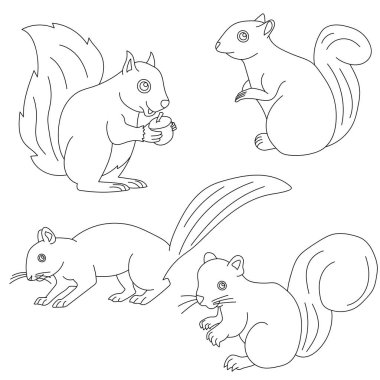 Sincap kümesi koleksiyonunun vektör çizimi. El çizimi çizimi