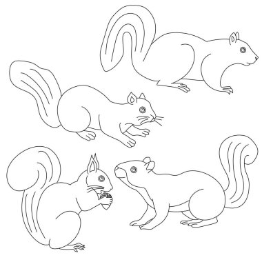 Çizgi film sincap ve sincap seti. Vektör. boyama kitabı sayfası.