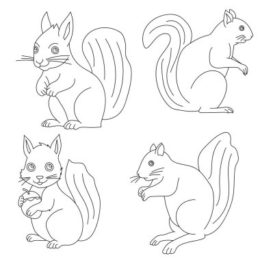 Bir çift şirin sincap. Vektör çizimi. boyama kitabı