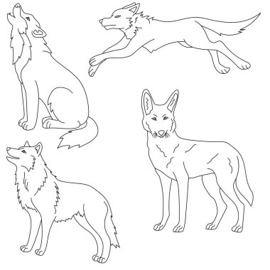 Köpek cinsi kurt seti..