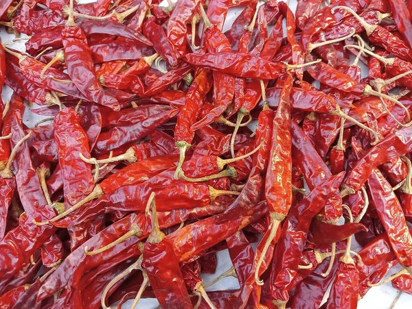 Fresh Red Chilli Market — Stock Photo, Image