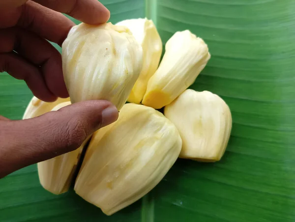 stock image Delicious Jackfruit picked from banana leaf 