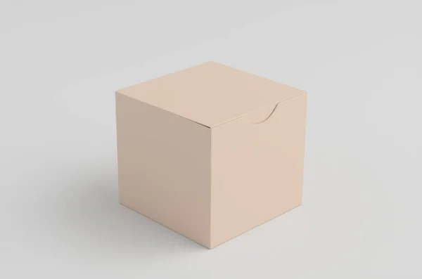 Karton Kutu Model Görüntü — Stok fotoğraf