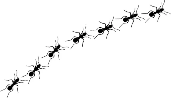 Rastro Columna Hormigas Siluetas Insectos Negros Viaje Trabajo Equipo Concepto — Vector de stock