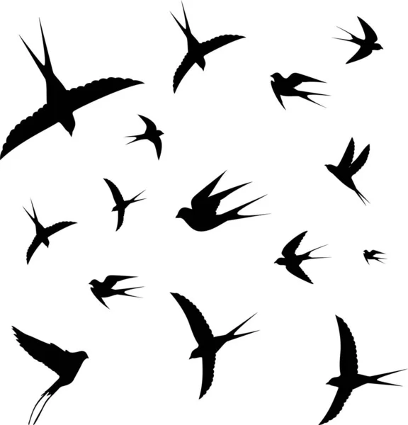 空飛ぶ鳥がシルエットに群がる 白を背景に ツバメやカモメ 海鳥が孤立している ベクトル鳥のアイコンは空を飛ぶ群れを設定 — ストックベクタ