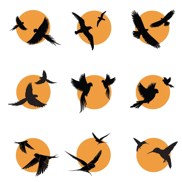 Набор Реалистичных Векторных Иллюстраций Силуэтов Летающих Хищных Птиц Выделенных Белом — стоковый вектор
