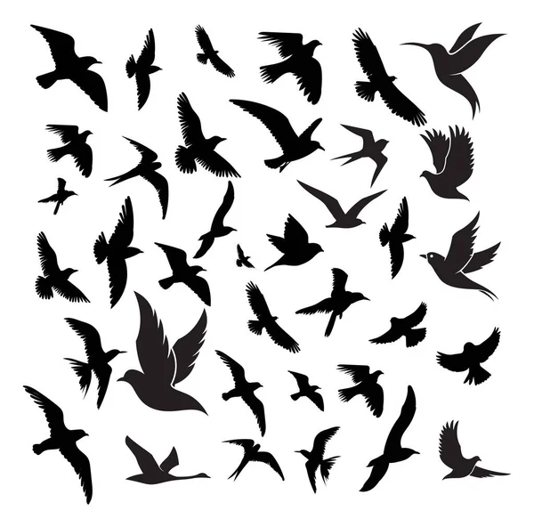 Tauben Fliegen Silhouetten Stock Illustration — Stockvektor