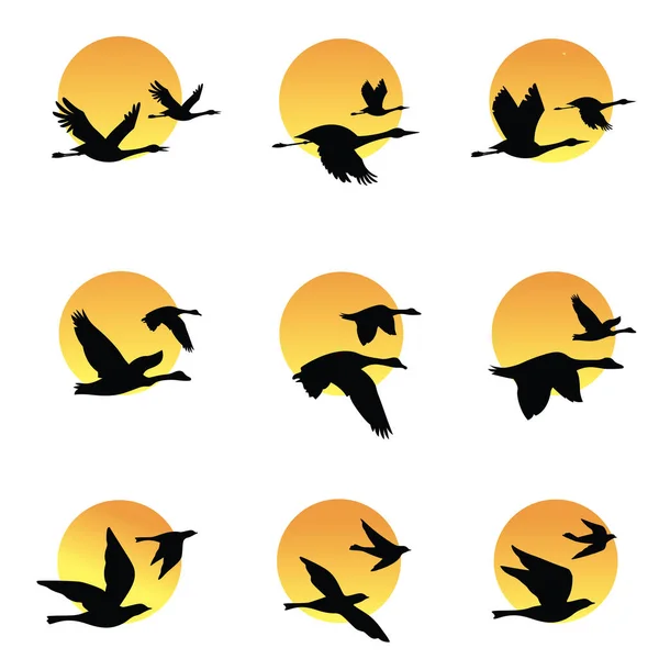 Vliegende Vogels Kudde Silhouet Slikken Zeemeeuw Zeevogels Geïsoleerd Witte Achtergrond — Stockvector