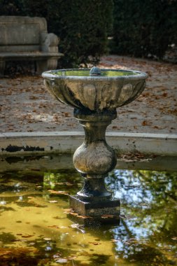 Yapraklarla dolu bir çeşme.